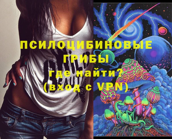 apvp Володарск