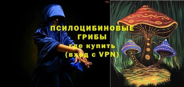 apvp Володарск